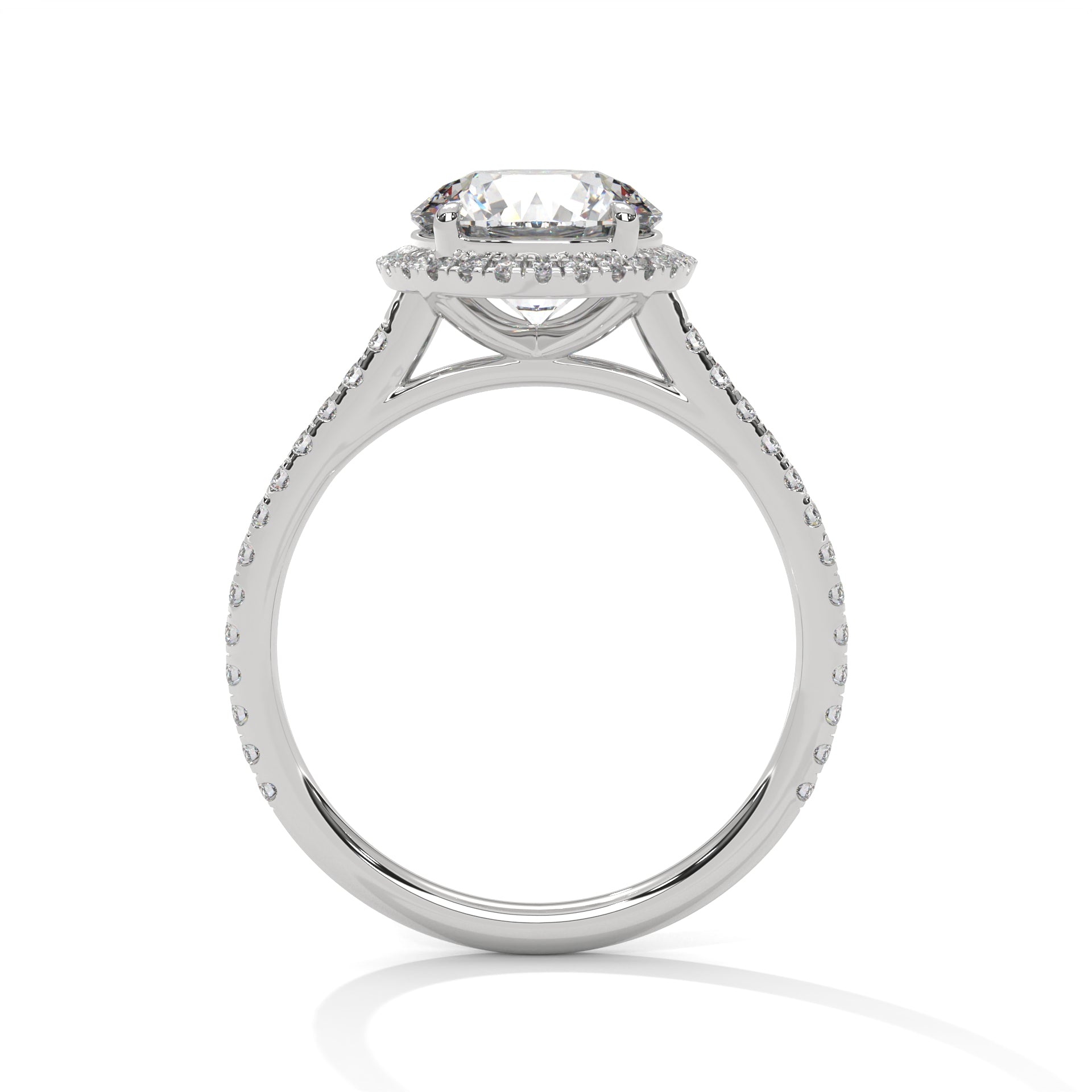 Side view of a four-prong halo cathedral setting in polished white gold.