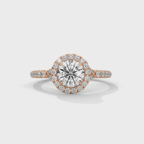 Round Brilliant Halo Pavé Band Lab Grown Diamond Ring | F VS2 | 14K 18K Gold