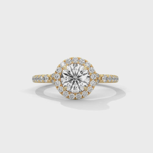 Round Brilliant Halo Pavé Band Lab Grown Diamond Ring | F VS2 | 14K 18K Gold